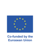 Co-funded by the European Union logo